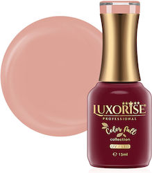 Semi-permanent Nail Polish Fall Collection Quie...