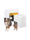 Hundeshirts Für Hunde Größe M-L Purlov