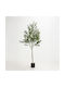 Künstlicher Olive Baum in Topf 180cm Stoff Grüne PVC C540571