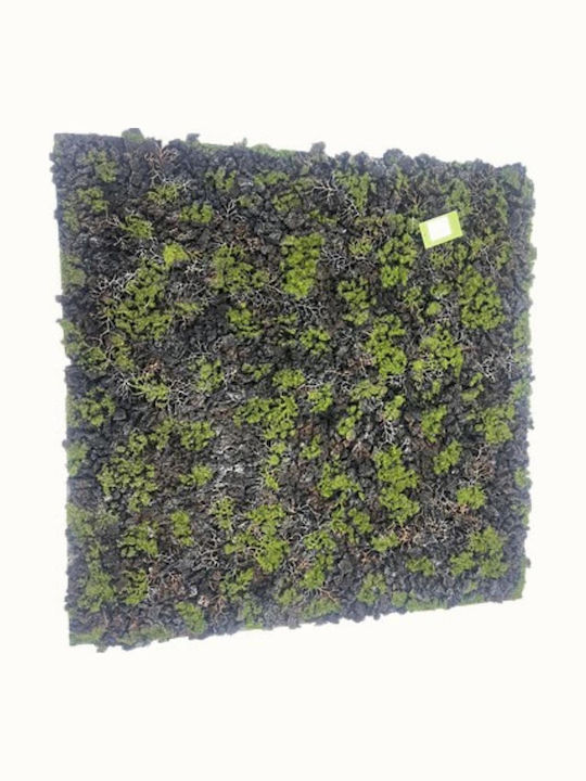 Supergreens Artificial Foliage Moss Gladonia Green Black 100x100 Cm 3991-7