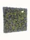 Supergreens Artificial Foliage Moss Gladonia Green Black 100x100 Cm 3991-7