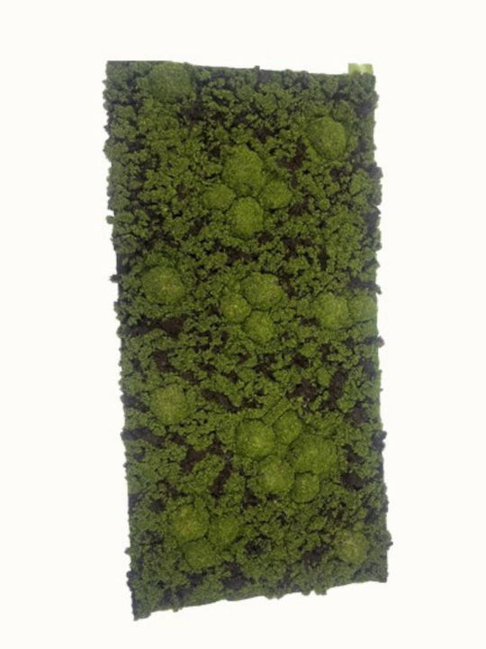Supergreens Τεχνητή Φυλλωσιά Moss Edem Πράσινη 50x100 Εκ 7991-7