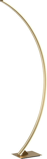 Lampadar De Podea Arcus Auriu 20x150cm Schuller 589147