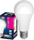 LED Glühbirne A60 E27 Warmes Weiß 8,5W Homie 108532