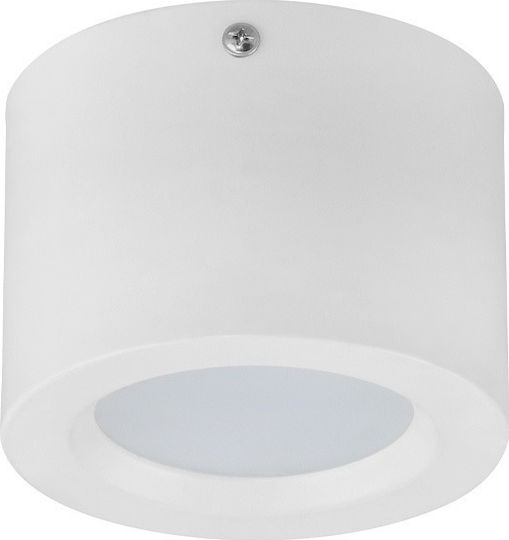 Horoz Electric LED Natural White Spot With 10 Lights In White Colour