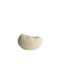 Light & Living Decorative Plastic Vase Denisa White 24x9.5xH32cm