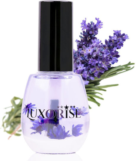Cuticle Öl mit Pinsel Lavendel Luxorise 15 Ml