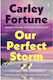 Our Perfect Storm Tpb 9780241813799