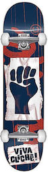 Dwindle Complete Shortboard Μπλε Dwindle Complete Shortboard Μπλε