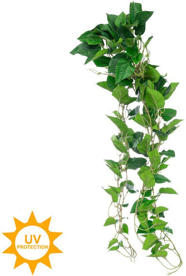 Devil's Ivy Outdoor Tree 90cm Iliadis
