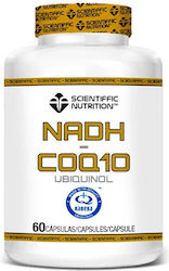 Scientiffic Nutrition NADH + CoQ10 40mg 60 Капсули