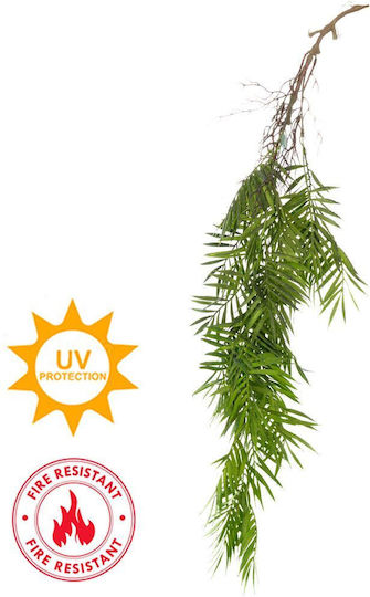 Areca-Palme Für Draußen 90cm Iliadis