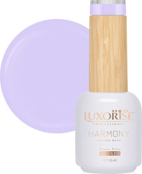 Rubber Base Hema Free Luxorise Harmony Purple P...