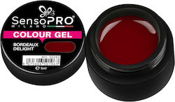Gel UV Colorat Bordeaux Delight 5ml Sensopro Mi...
