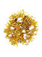 Alista Home Weihnachtsgirlande Kunststoff Gold 9x9cm