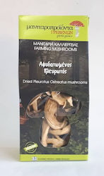 Manitaroproionta Grevenon Mushrooms 25gr