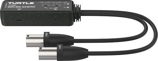 Aventure Verticale Converter XLR Male to Ethernet Female 1 Piece
