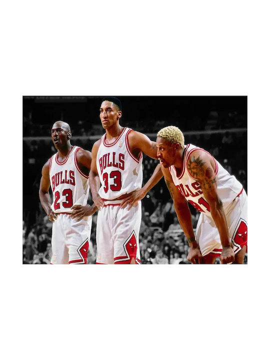 Poster NBA Jordan Pippen Rodman Snk215 40cm X 50cm