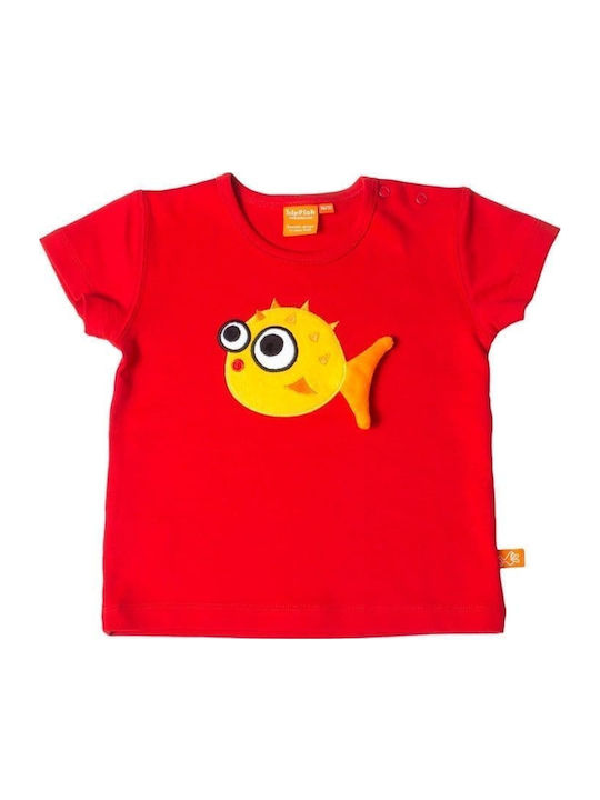 Lipfish