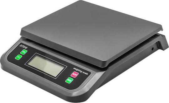 Dt510 Professional Precision Scale with Weighing Capacity 30kg and Accuracy 1g
