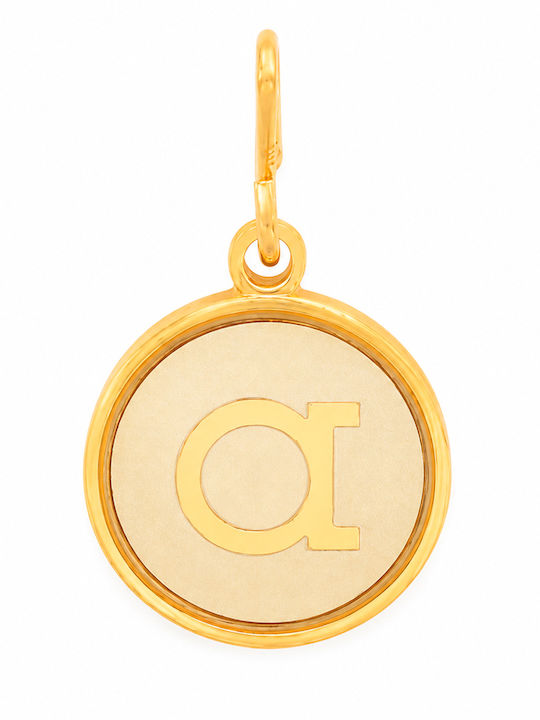Alex and Ani Charm Monogramm Vergoldet
