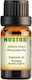 Nostos Pure Αιθέριο Έλαιο Λεμόνι 100ml