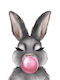 Kinderposter Little Bunny 50x40cm