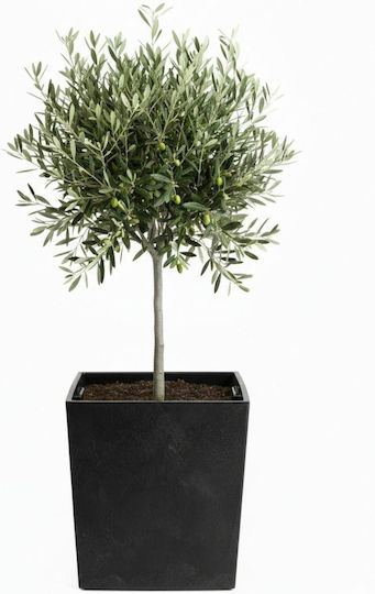 HowHomely Ghiveci De Flori Din Beton Negru 41 Cm
