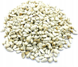 Semințe De Carthamus Semințe De Carthamus 50 G 100% Natural Semințe De Carthamus Semințe De Carthamus 50 G 100% Natural