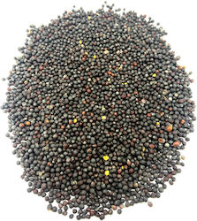 Semințe De Rapiță 50 G Natural Shop Semințe De Rapiță 50 G Natural Shop