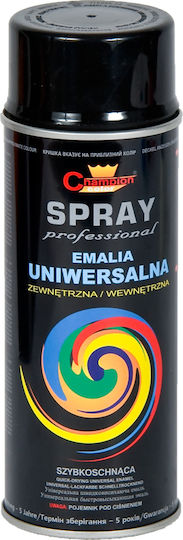 Cutie Vopsea Email Negru Lucios Ral 9005 Spray 13006 Agtech 400 Ml