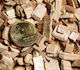 Reptile-wood Boden-substrat 25 L
