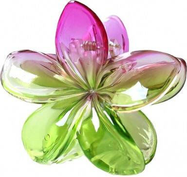 Ecarla Clamă De Păr Cu Floare Moana Ombre Verde Roz Sp319