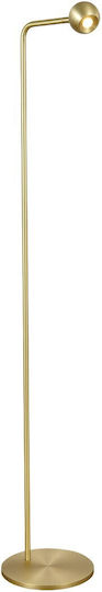 VK Lighting LED Floor Lamp Height 125.2cm With Warm White Light 468lm Gold
