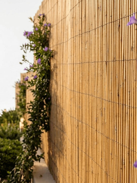 Chios Hellas Bamboo Fencing with Whole Reed 1x3m 20-KM001