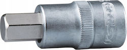 1/2 Steckdosen Bit HEX Schrauben Kurz