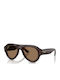 Ray Ban Unisex Sunglasses With Brown Horn-Rimmed Frame And Brown Lens