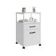 Relaxdays Dulap Mobil cu 2 Sertare Alb 66.5x44x42 Cm