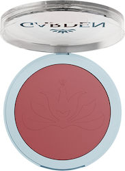 Garden Flush Blush Garden Flush Blush