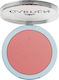 Garden Flush Blush Rouge & Blush Rose 9g