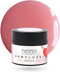 Neess Ρουζ Blush Pink 15gr