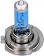 Maxgear Autolampe H7 Halogen Weiß 12V 55W