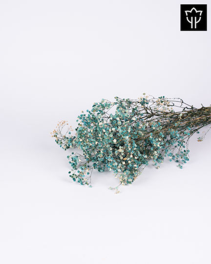 Gipsophylli Weiße-Blau Länge 60cm