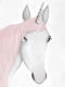 Kids Wall Art Unicorn with Black Wooden Frame 40x50cm