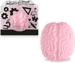 Trend Haus Squishy Squishy Trend Haus Squishy Squishy