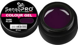 Dark Plum Colored Uv Gel 5ml Sensopro Milano
