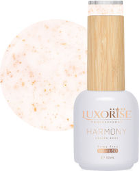 Rubber Base Hema Free Luxorise Harmony Gold Spa...