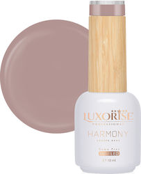 Rubber Base Hema Free Luxorise Harmony Honeyed ...