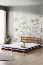 SteweHome Single 80x180x6cm With Springs SteweHome Single 80x180x6cm With Springs