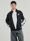 Chuck Sweatshirt Schwarz